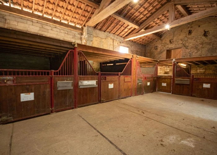 Photos 7 - Equestrian - Propriété équestre et locatif 4 hectares