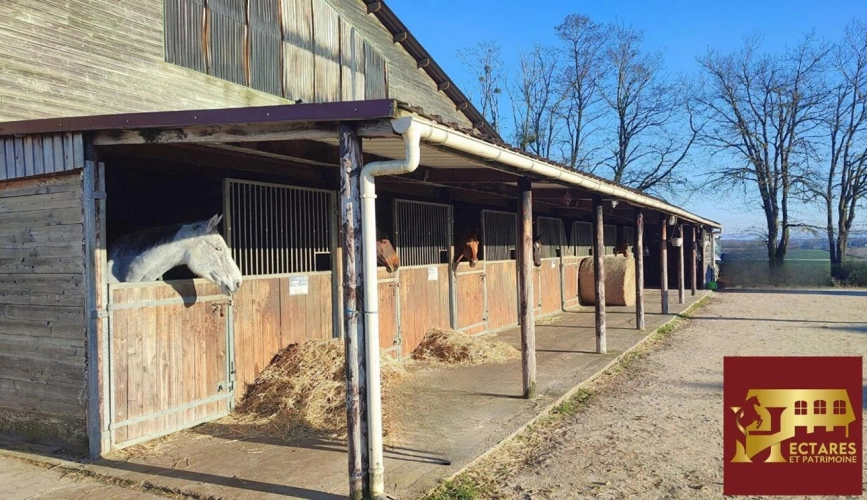 Photos 4 - Équestre - Structure équestre 21 hectares