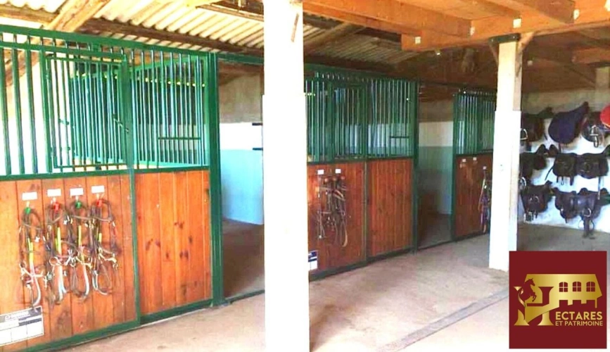 Photos 6 - Équestre - Structure équestre 21 hectares