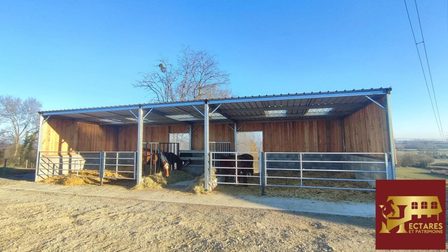 Photos 7 - Équestre - Structure équestre 21 hectares