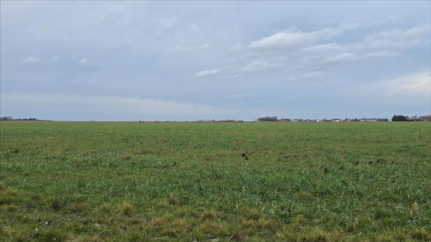 Photos 3 - Rurale - En Exclusivité Champagne Berrichonne Indre (secteur Sud-ouest Is