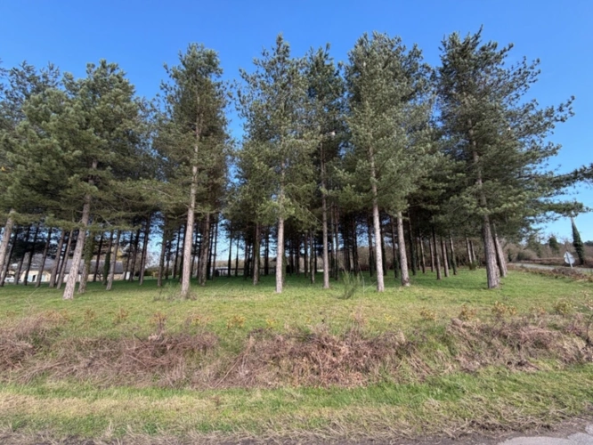 Photos 1 - Rurale - Terrain à vendre de 3 000,00 m² TIERCE (49)