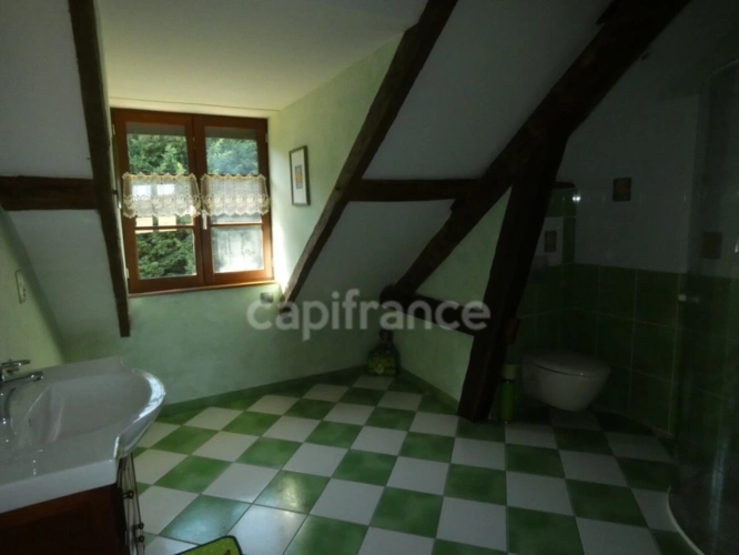 Photos 10 - Rurale - Propriete à vendre 8 pièces SAINT GERMAIN DU BOIS (71)