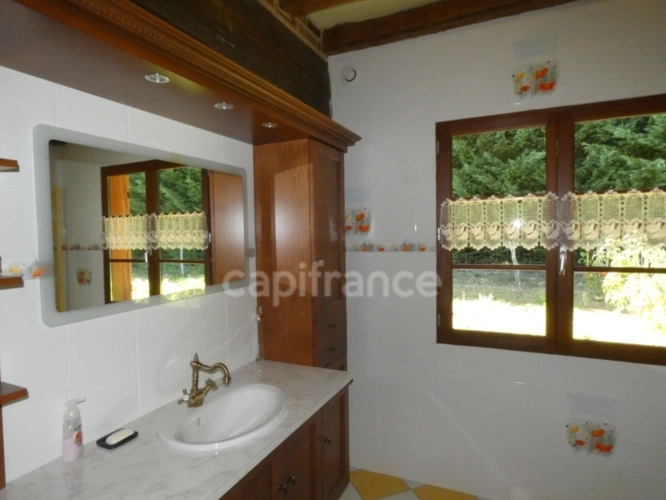 Photos 18 - Rurale - Propriete à vendre 8 pièces SAINT GERMAIN DU BOIS (71)