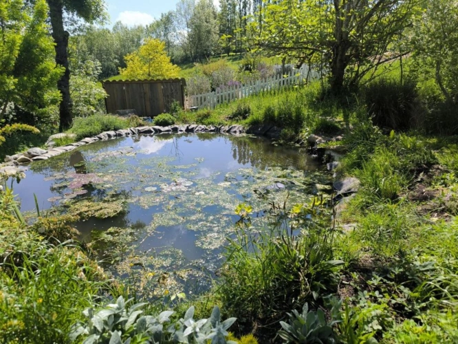 Photos 7 - Rurale - Propriété