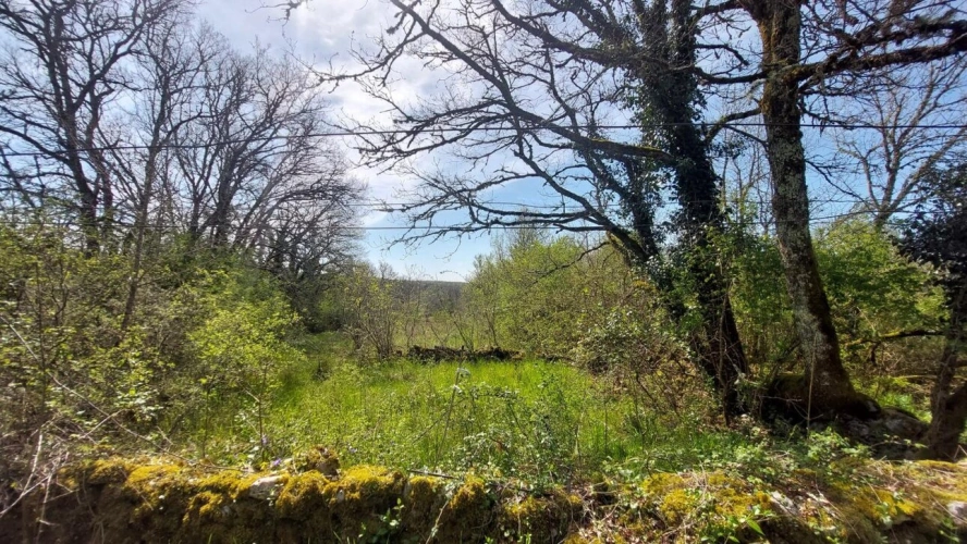 Photos 6 - Prestige - Maison