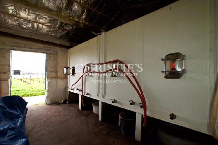 Photos 3 - Viticole - Propriété viticole de 5.5 hectares sur Saint-Émilion - Voisin de Grand Cru Classé