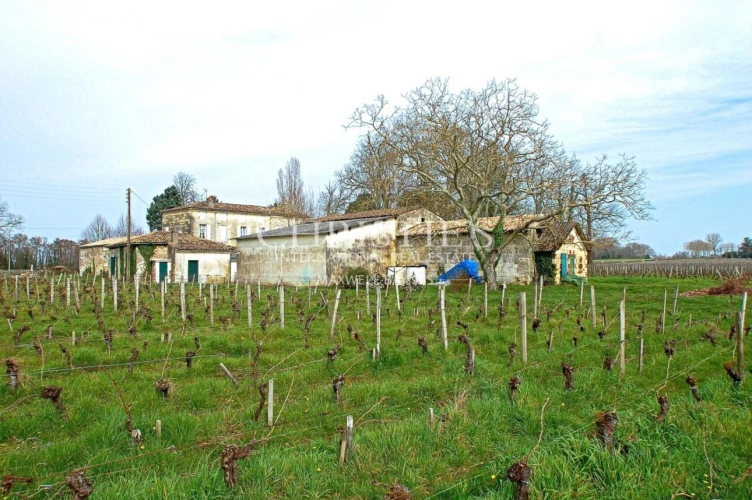 Photos 10 - Viticole - Propriété viticole de 5.5 hectares sur Saint-Émilion - Voisin de Grand Cru Classé