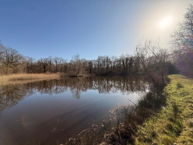 Photos 3 - Prestige - Très joli domaine de chasse de 71 hectares d'un seul tenant