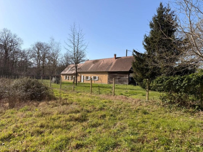 Photos 5 - Prestige - Très joli domaine de chasse de 71 hectares d'un seul tenant