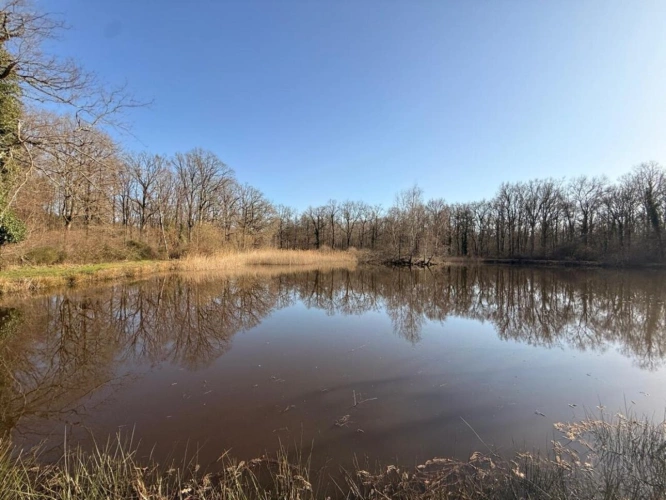 Photos 6 - Prestige - Très joli domaine de chasse de 71 hectares d'un seul tenant