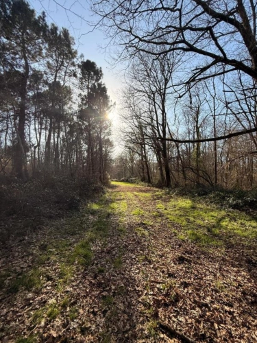 Photos 7 - Prestige - Très joli domaine de chasse de 71 hectares d'un seul tenant
