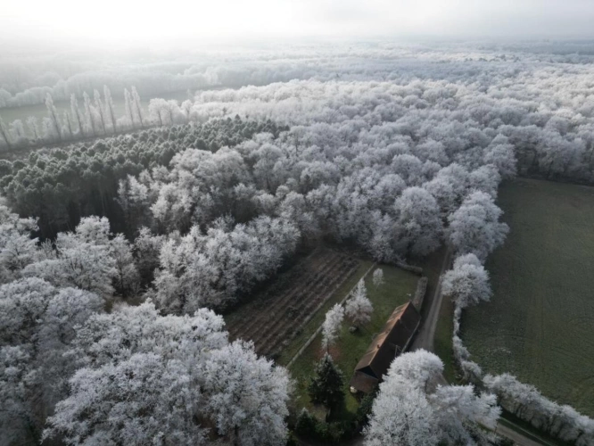 Photos 8 - Prestige - Très joli domaine de chasse de 71 hectares d'un seul tenant
