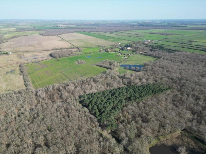 Photos 9 - Prestige - Très joli domaine de chasse de 71 hectares d'un seul tenant