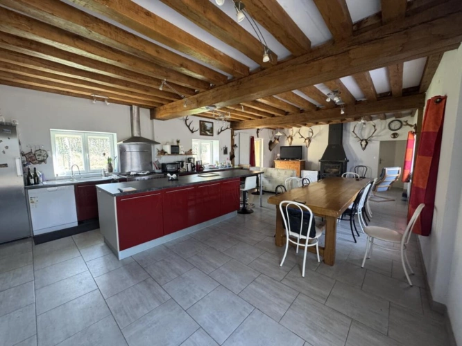 Photos 12 - Prestige - Très joli domaine de chasse de 71 hectares d'un seul tenant