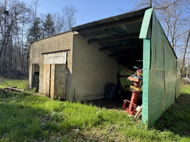 Photos 14 - Prestige - Très joli domaine de chasse de 71 hectares d'un seul tenant