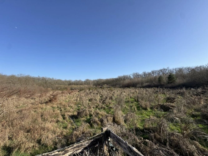 Photos 15 - Prestige - Très joli domaine de chasse de 71 hectares d'un seul tenant