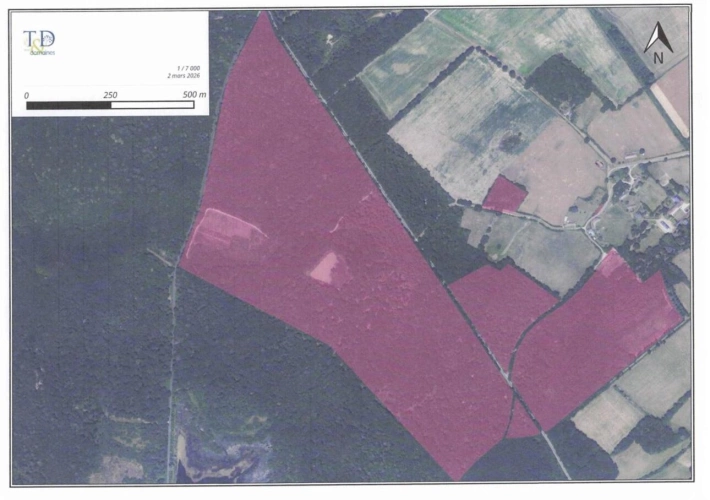 Photos 19 - Prestige - Très joli domaine de chasse de 71 hectares d'un seul tenant