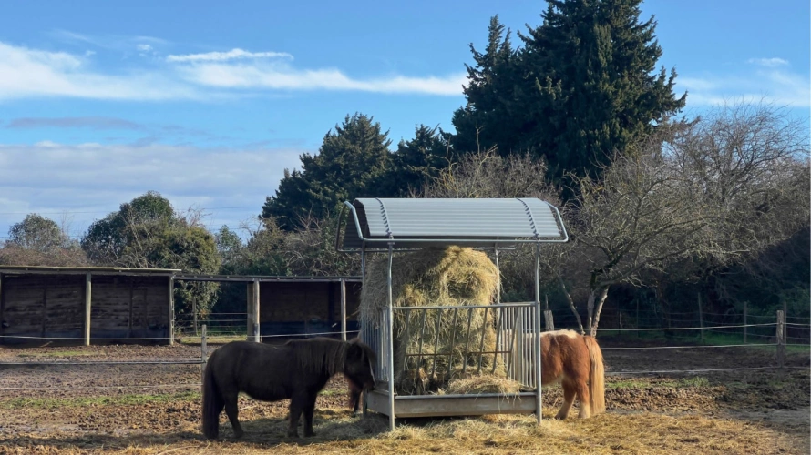 Photos 9 - Équestre - Propriété équestre dexception au coeur du Gard, entre Cévennes et Provence (30)