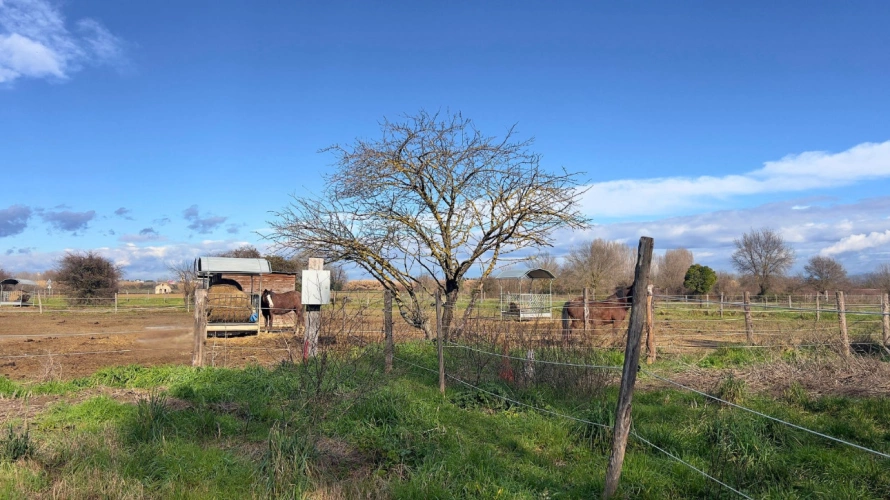 Photos 10 - Équestre - Propriété équestre dexception au coeur du Gard, entre Cévennes et Provence (30)