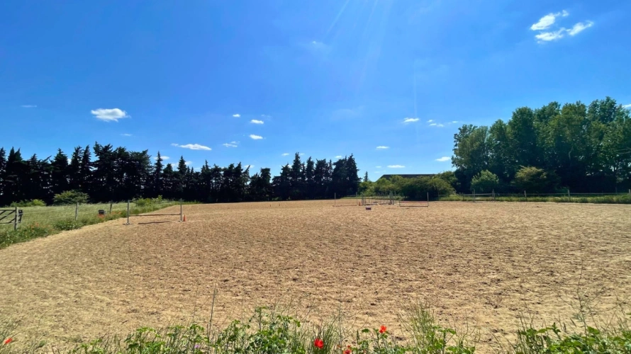 Photos 13 - Équestre - Propriété équestre dexception au coeur du Gard, entre Cévennes et Provence (30)