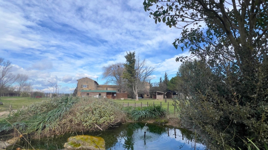 Photos 18 - Équestre - Propriété équestre dexception au coeur du Gard, entre Cévennes et Provence (30)