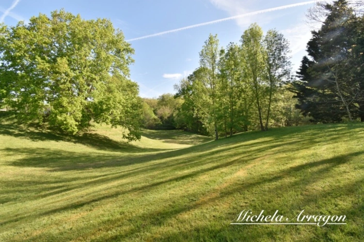 Photos 2 - Prestige - Dpt Lot et Garonne (47), à vendre PINEL HAUTERIVE propriete P6 de 240 m² - Terrain de 21 912,00 m²