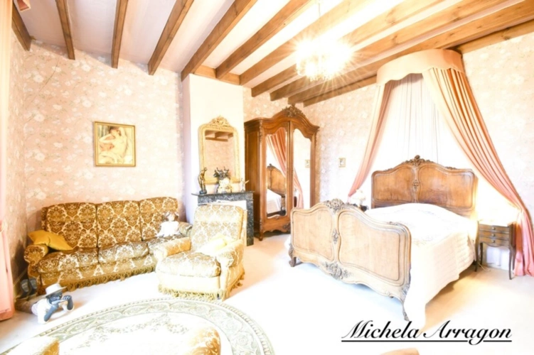 Photos 14 - Prestige - Dpt Lot et Garonne (47), à vendre PINEL HAUTERIVE propriete P6 de 240 m² - Terrain de 21 912,00 m²