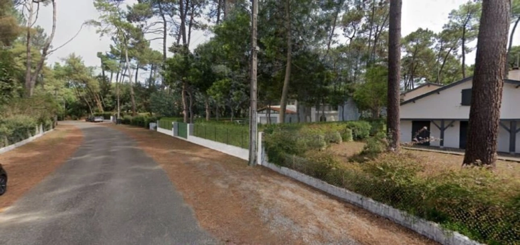 Photos 1 - Forestière - Terrain