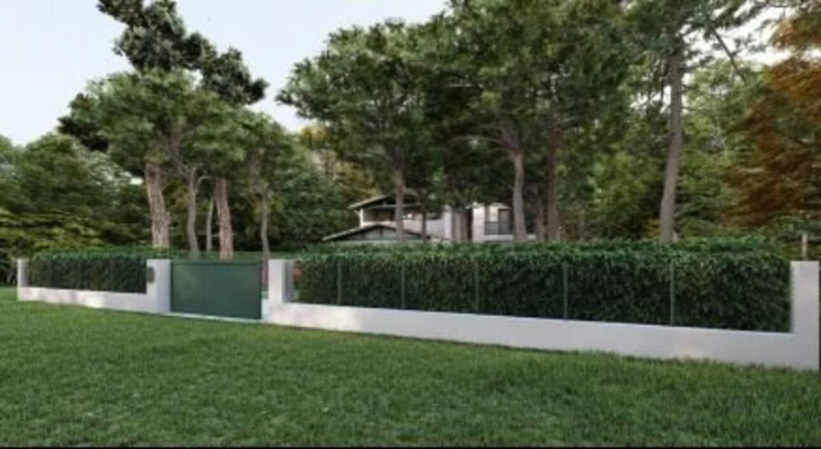 Photos 3 - Forestière - Terrain