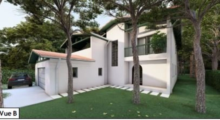 Photos 4 - Forestière - Terrain