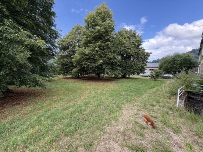 Photos 6 - Rurale - Demeure de ville et village