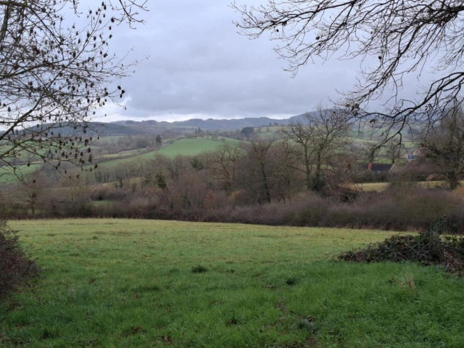 Photos 1 - Équestre - Maison à vendre Le Breuil