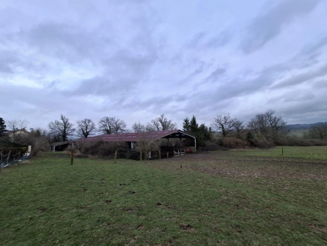 Photos 3 - Équestre - Maison à vendre Le Breuil