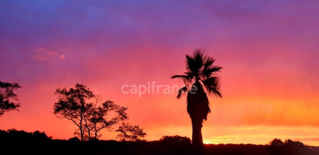 Photos 34 - Prestige - Domaine à vendre avec vue exceptionnelle à 360°, composé d'une bergerie réhabilitée, puis d'une grange et d'un kiosque à restaurer, sur 2,9 ha de terrain à LECTOURE (32)