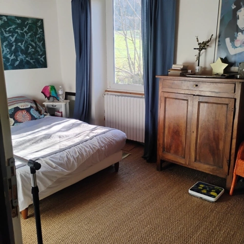 Photos 13 - Prestige - Propriete Bourguignonne à vendre 7 pièces SAINT IGNY DE VERS (69)