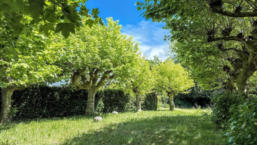 Photos 5 - Prestige - Propriété