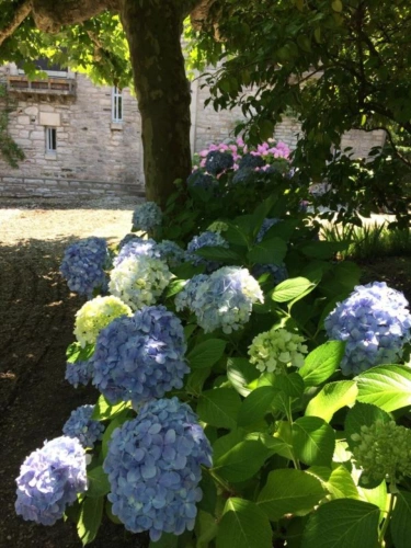 Photos 10 - Prestige - Propriété