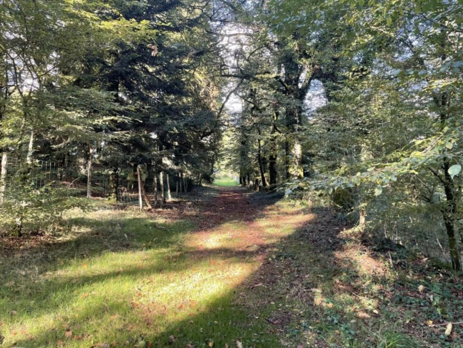 Photos 19 - Prestige - Domaine