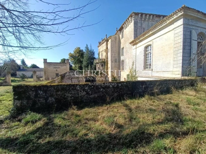 Photos 1 - Prestige - Ancien Château de caractère avec 3 hectares, petit vignoble d'agrément en AOC Lussac St Emilion. De nombreuses dépendances