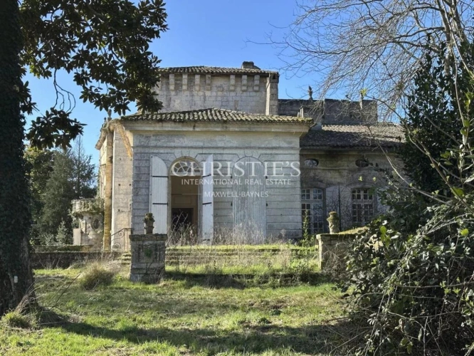 Photos 2 - Prestige - Ancien Château de caractère avec 3 hectares, petit vignoble d'agrément en AOC Lussac St Emilion. De nombreuses dépendances