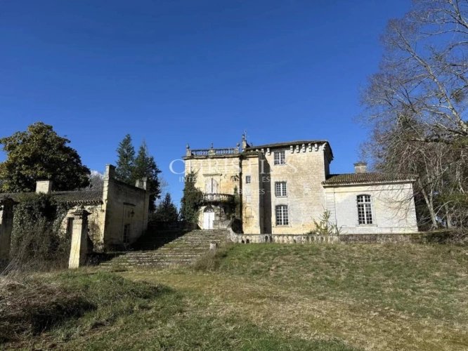 Photos 3 - Prestige - Ancien Château de caractère avec 3 hectares, petit vignoble d'agrément en AOC Lussac St Emilion. De nombreuses dépendances