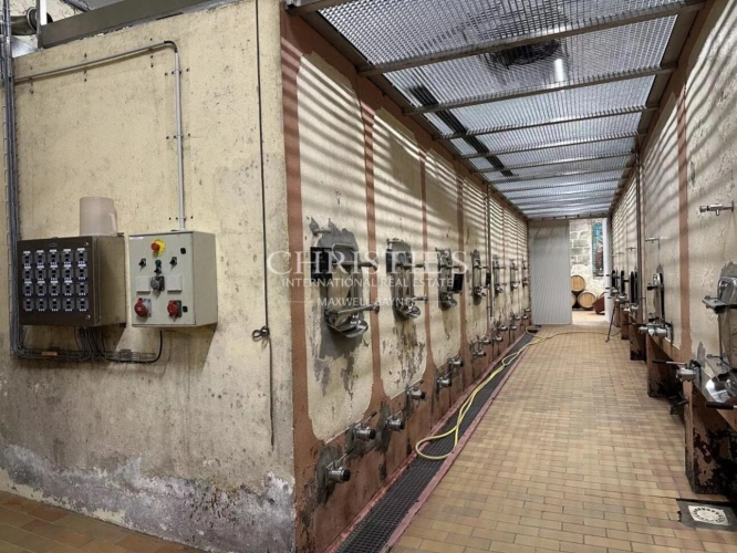 Photos 12 - Prestige - Ancien Château de caractère avec 3 hectares, petit vignoble d'agrément en AOC Lussac St Emilion. De nombreuses dépendances