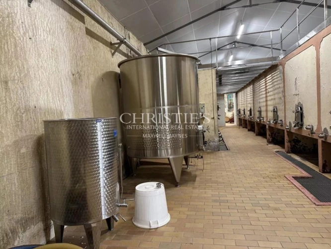 Photos 13 - Prestige - Ancien Château de caractère avec 3 hectares, petit vignoble d'agrément en AOC Lussac St Emilion. De nombreuses dépendances