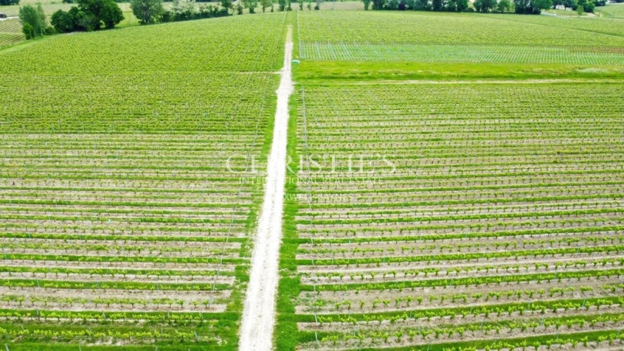 Photos 5 - Viticole - Propriété viticole de 28 ha en excellent état avec bâtiments de caractère
