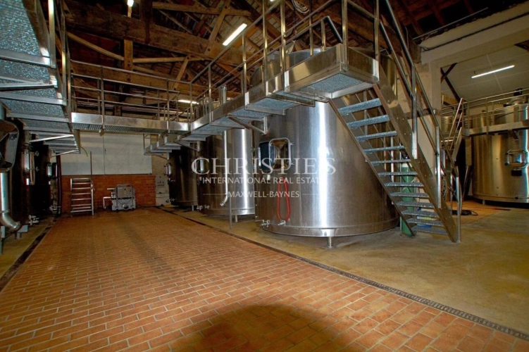 Photos 7 - Viticole - Propriété viticole de 28 ha en excellent état avec bâtiments de caractère