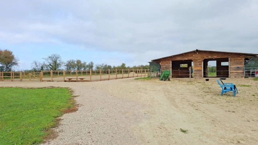 Photos 12 - Équestre - Propriété équestre opérationnelle sur 2,2 ha