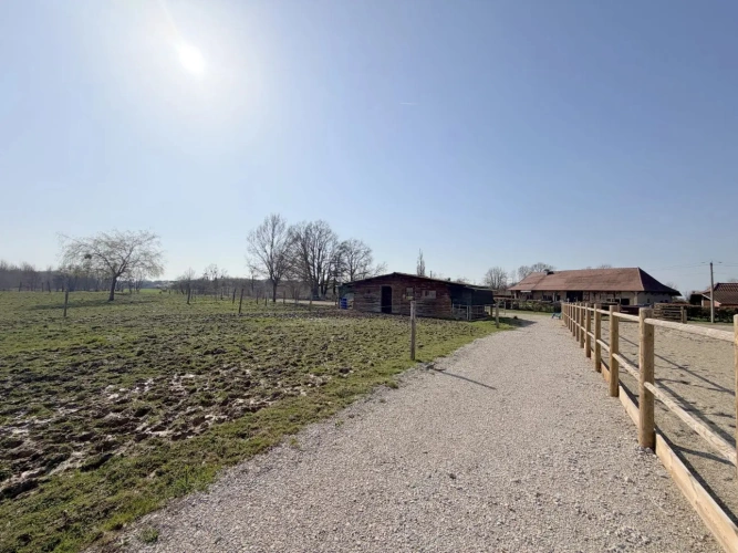 Photos 13 - Équestre - Propriété équestre opérationnelle sur 2,2 ha