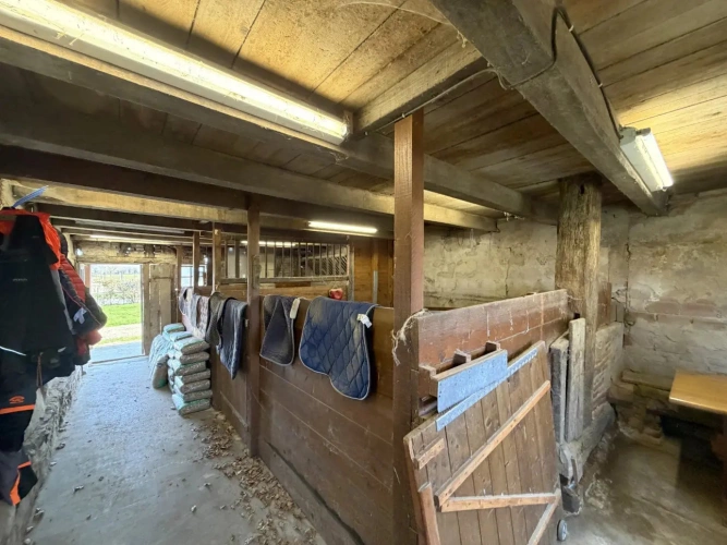 Photos 14 - Équestre - Propriété équestre opérationnelle sur 2,2 ha