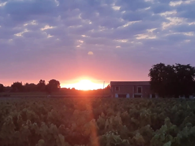 Photos 7 - Touristique - Domaine de Gîtes rentable +10 %  11 logements